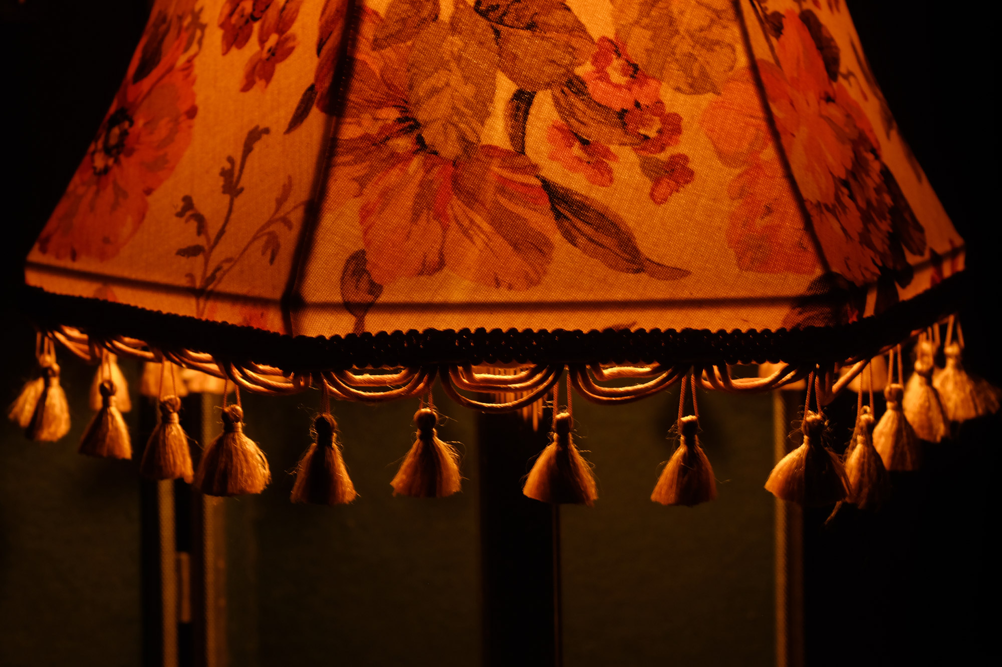 Buckminster-Lampenschirm-Frontal