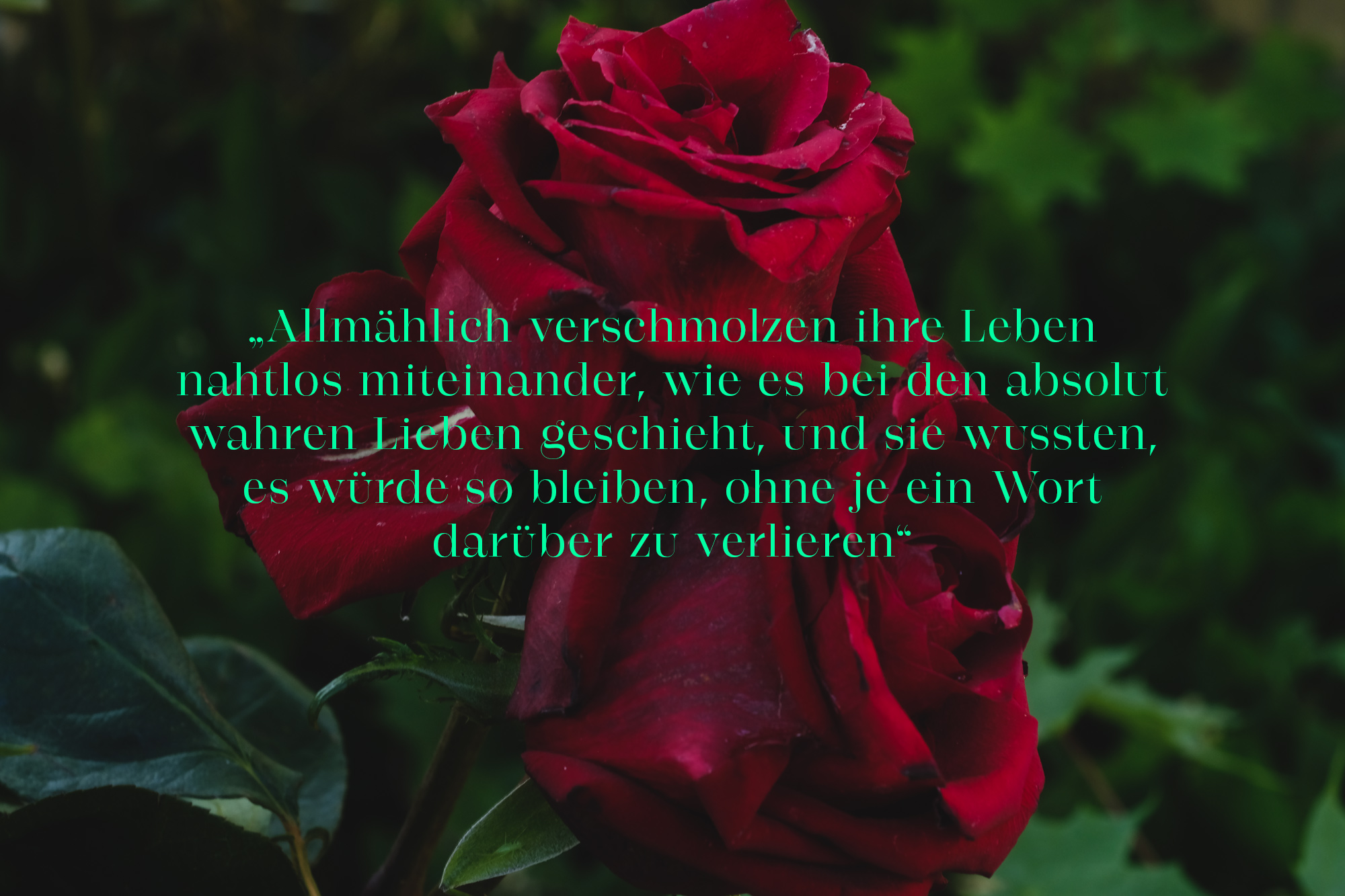 Buckminster-Rosen-Liebe